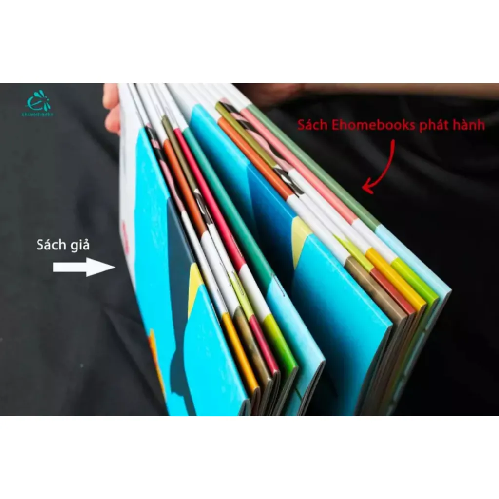 Ảnh Sách Ehon Nhật Bản - Combo 6 cuốn Ai ở sau lưng bạn thế - Dành cho bé 0-3 tuổi 3