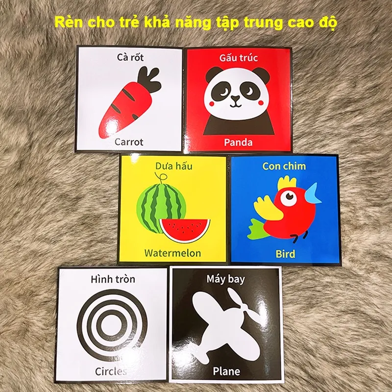 Ảnh Sách - Flash Card Kích Thích Thị Giác cho trẻ sơ sinh - bản Zic Zắc 40 hình, kích thước 21cm x 21cm. 2