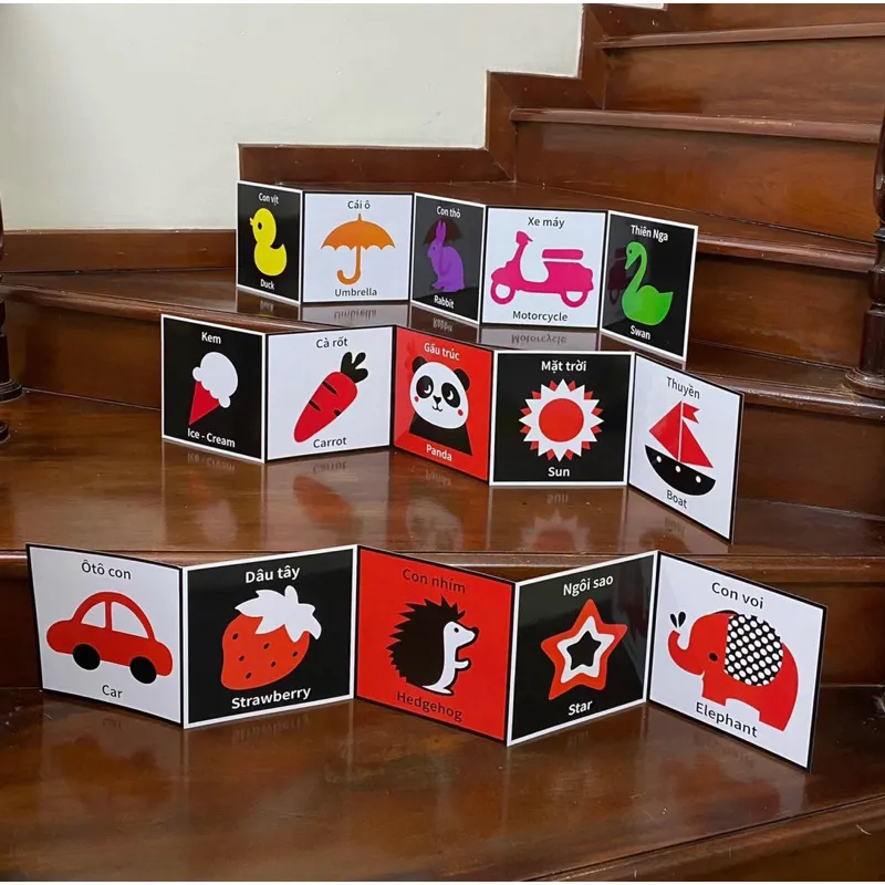 Ảnh Sách - Flash Card Kích Thích Thị Giác cho trẻ sơ sinh - bản Zic Zắc 40 hình, kích thước 21cm x 21cm. 4