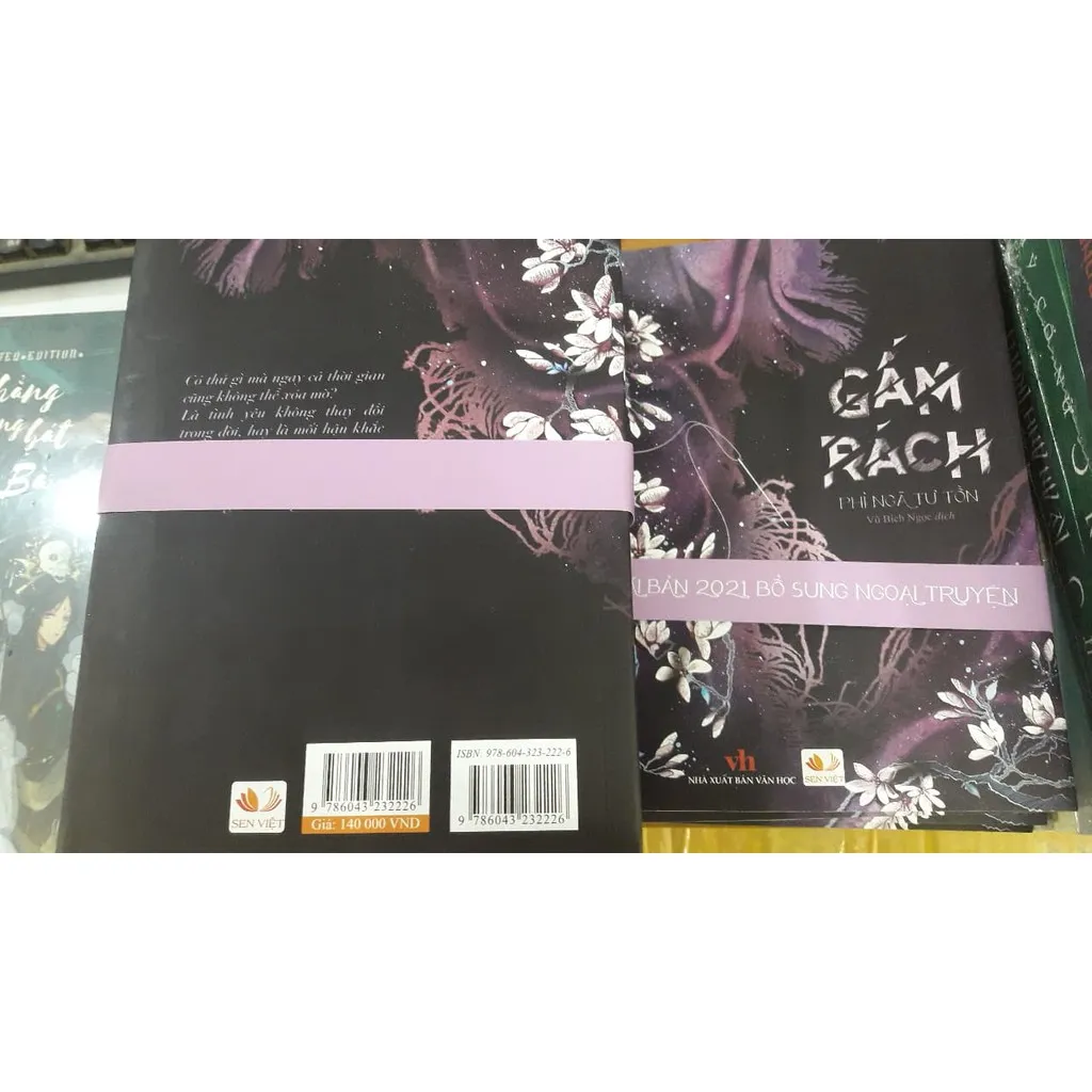 Ảnh Sách - Gấm rách Tái bản - Phỉ Ngã Tư Tồn 3