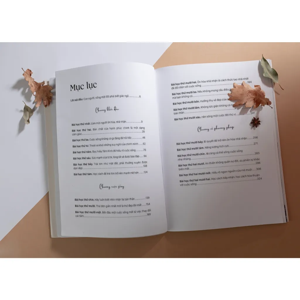 Ảnh Sách Học Cách Làm Bạn Với Cảm Xúc: Hạnh Phúc Đến Từ Nội Tâm - Bizbooks 1