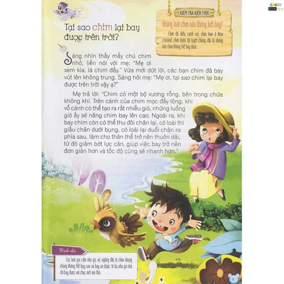 Ảnh Sách - Hỏi gì cũng biết - Sự kỳ diệu của cơ thể người 1