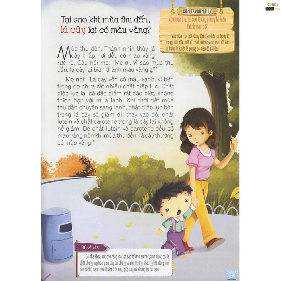 Ảnh Sách - Hỏi gì cũng biết - Sự kỳ diệu của cơ thể người 2