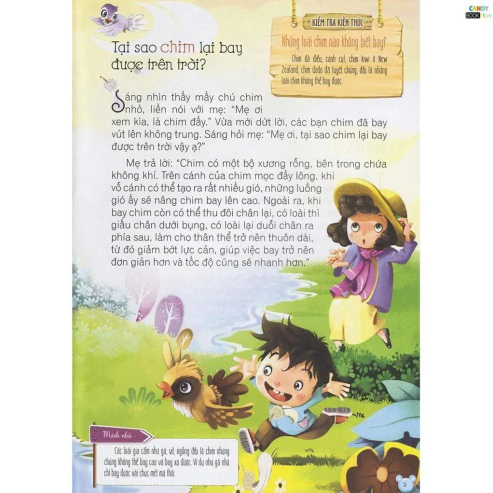 Ảnh Sách - Hỏi Gì Cũng Biết - Thiên Nhiên Nói Gì Với Em 1