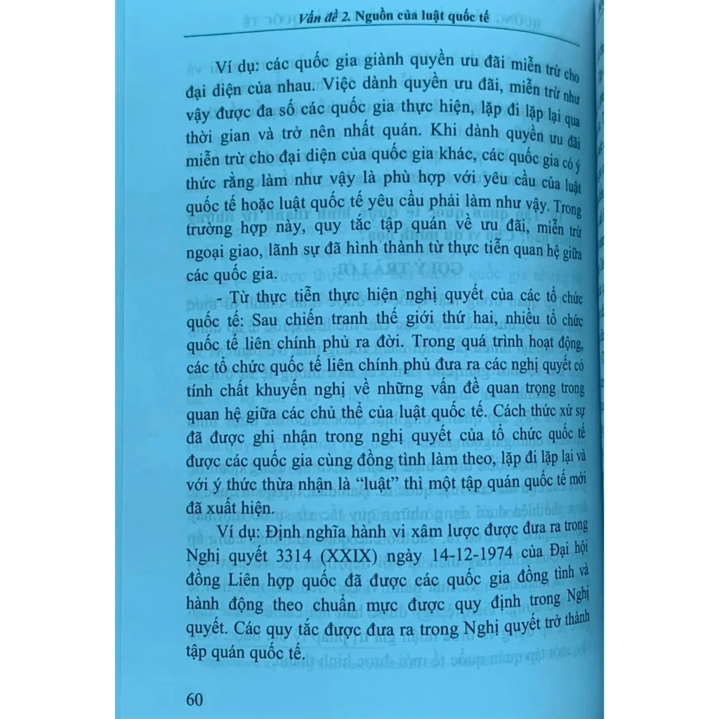 Ảnh Sách- Hướng dẫn môn học công pháp quốc tế 4