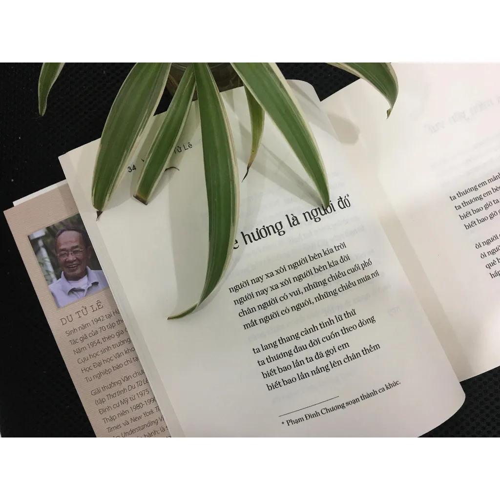 Ảnh Sách - Khúc Thụy Du - Du Tử Lê 2