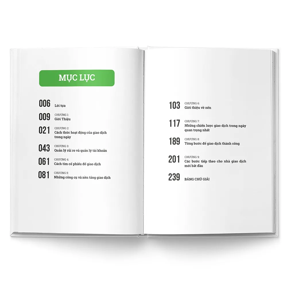 Ảnh Sách Kỹ Thuật Giao Dịch Để Kiếm Tiền Hàng Ngày Trên Thị Trường Chứng Khoán - Day Trade For A Living 4