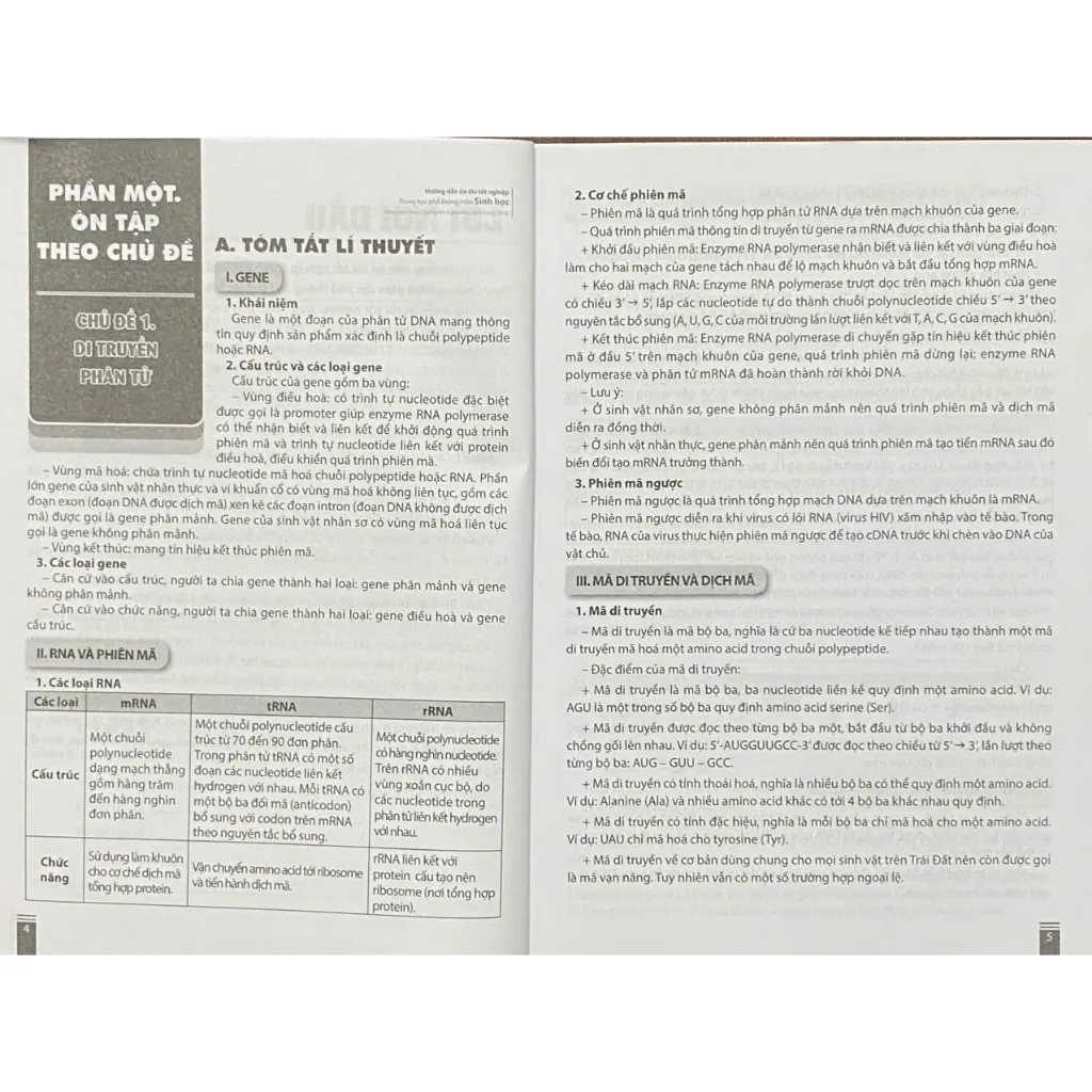 Ảnh Sách - lớp 12 - Hướng dẫn ôn thi tốt nghiệp THPT môn Sinh học (mới 2024) 2