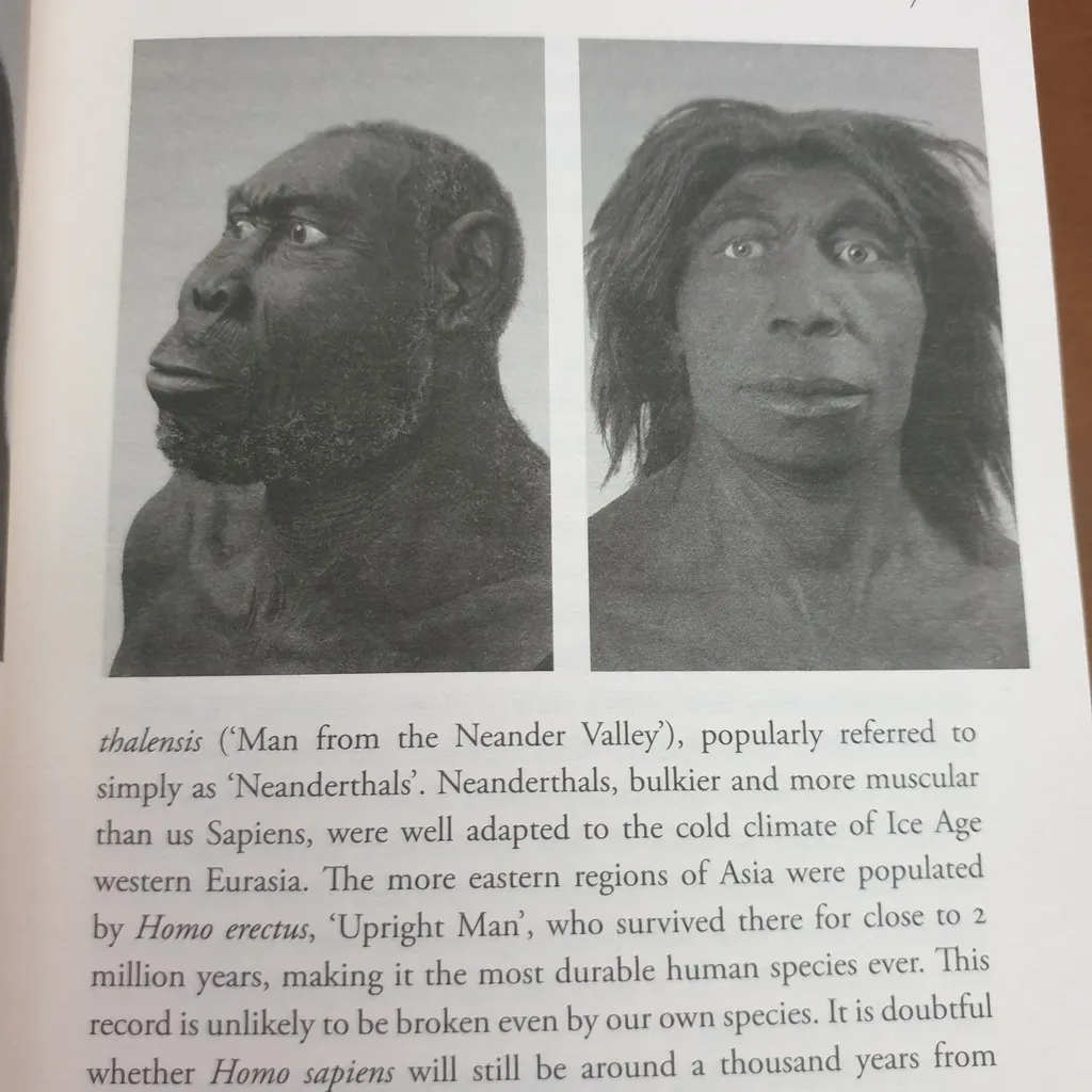 Ảnh Sách Ngoại văn: Sapiens: A Brief History Of Humankind 2