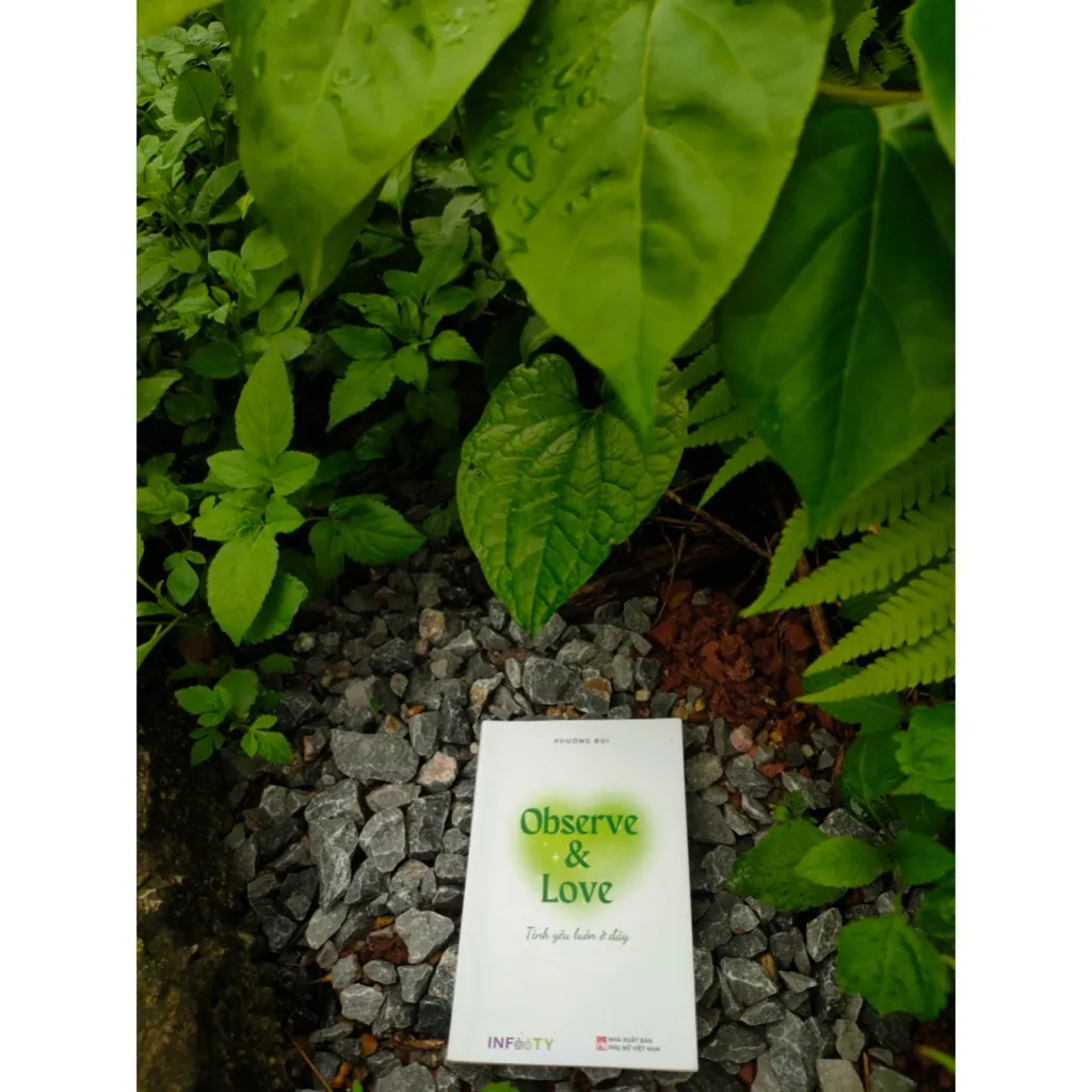 Ảnh Sách Observe and love - Tình yêu luôn ở đây | Phương Bùi 2