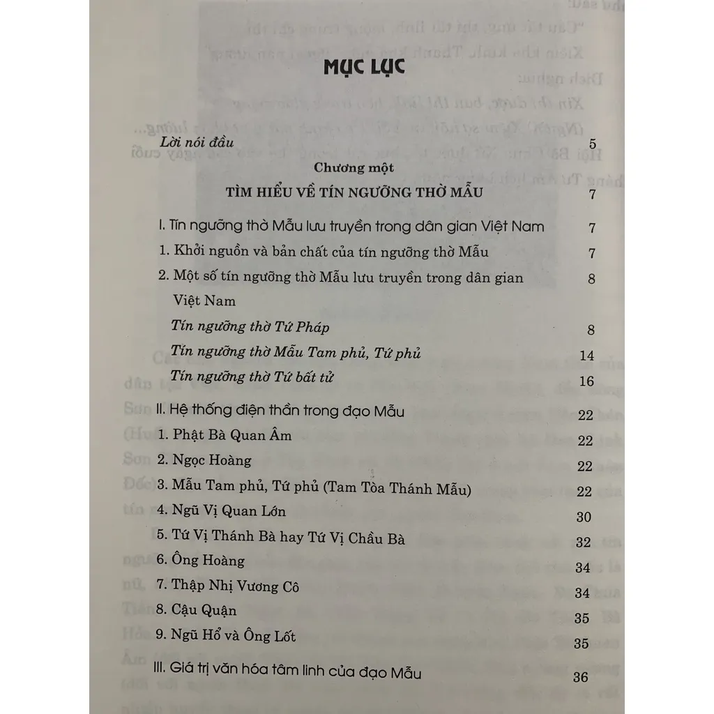 Ảnh Sách - Phong Tục Dân Gian - Nghi Lễ Thờ Mẫu 1