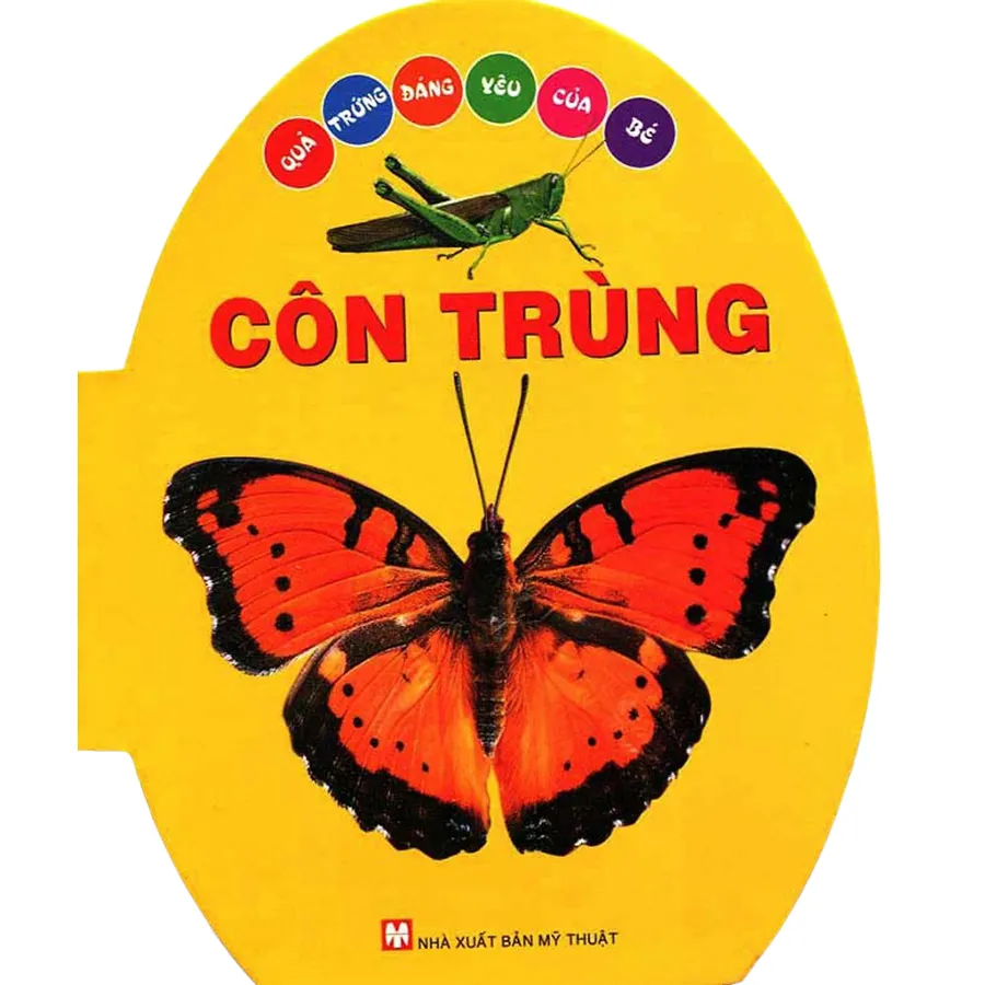 Ảnh Sách - Quả Trứng Đáng Yêu Của Bé - Côn trùng - Động vật hoang dã - Đồ vật (lẻ tùy chọn) 2