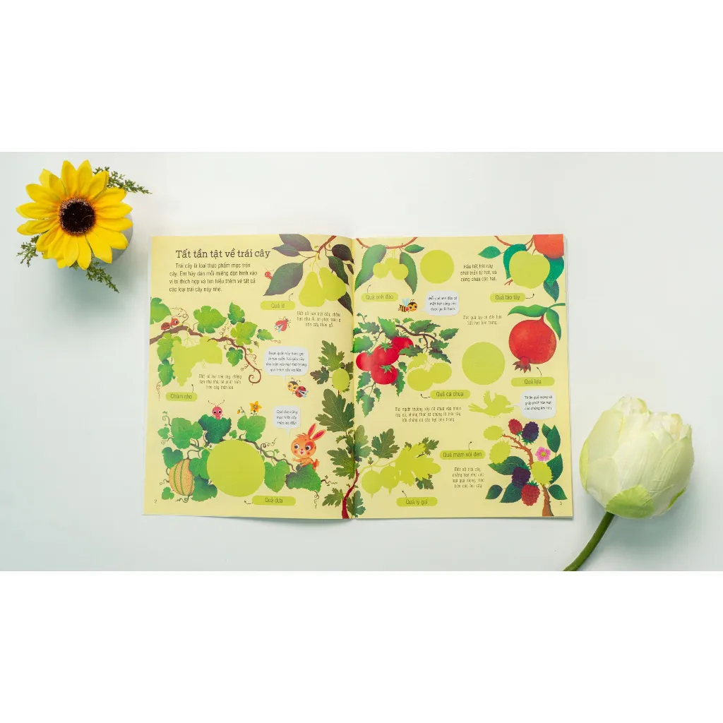 Ảnh Sách - Sách dán hình đầu đời cho bé - First Stiker book ( Lẻ 1 quyển ) 3