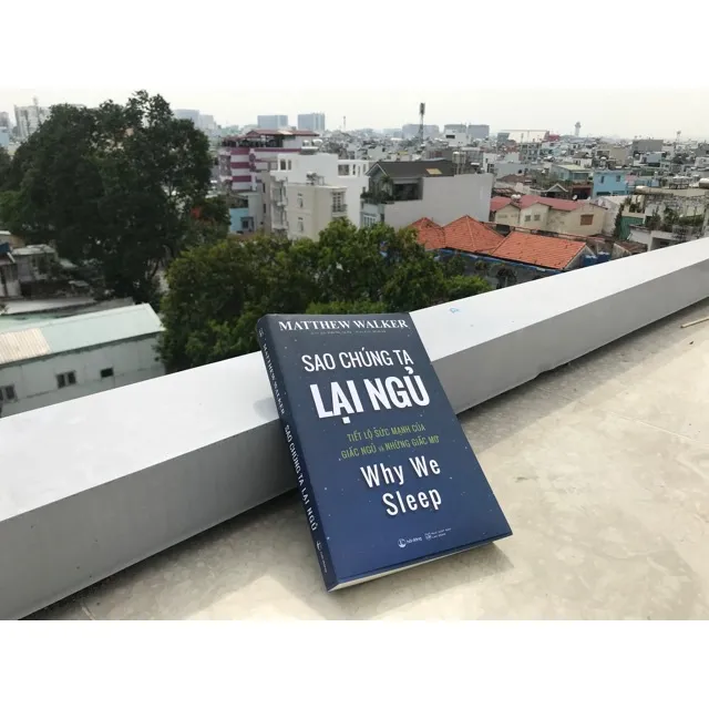 Ảnh Sách - Sao Chúng Ta Lại Ngủ - Matthew Walker (Hải Đăng) 1