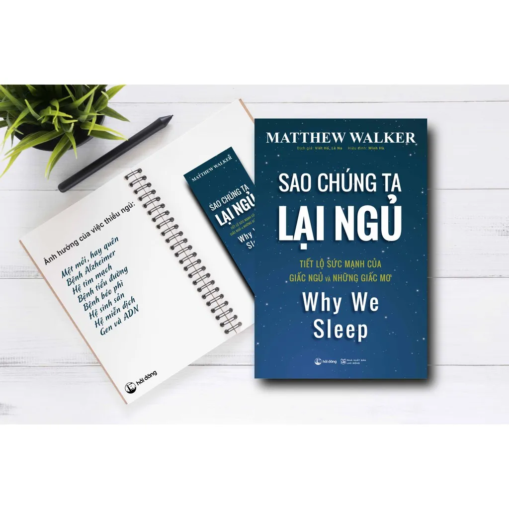 Ảnh Sách - Sao Chúng Ta Lại Ngủ - Matthew Walker (Hải Đăng) 3