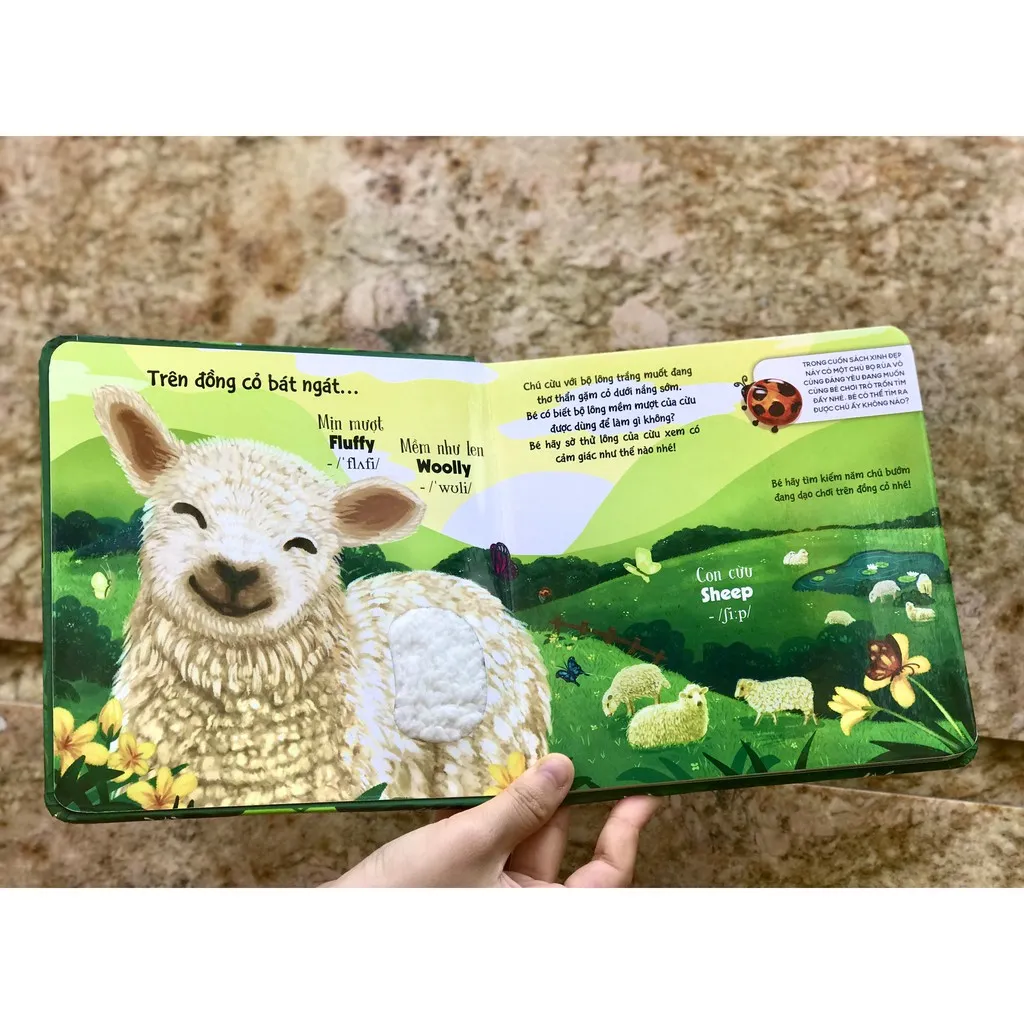 Ảnh Sách Sờ chạm khám phá - Thế giới động vật - Một ngày giữa thiên nhiên 2