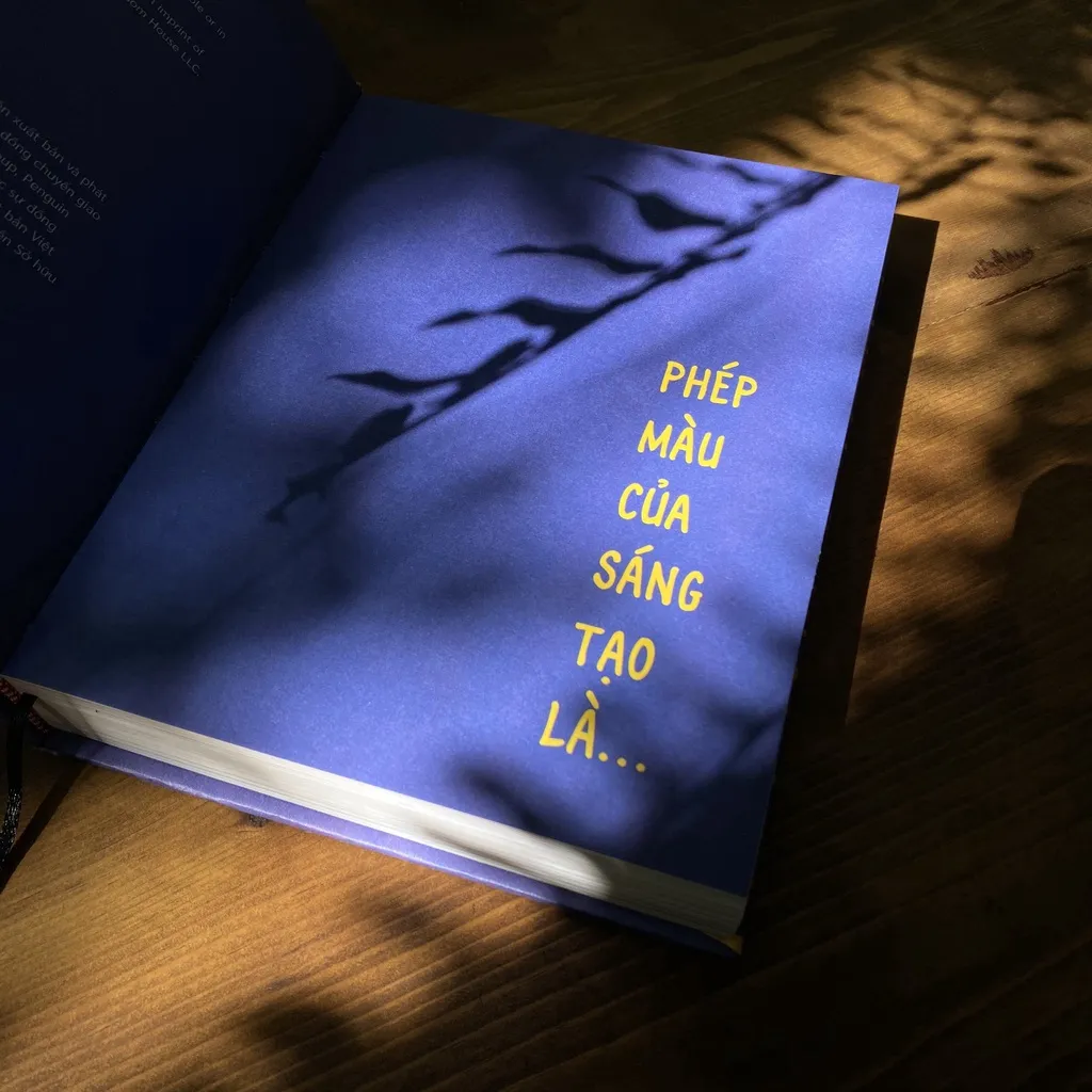 Ảnh Sách The Practice Ta giấu sáng tạo ở đâu? 3