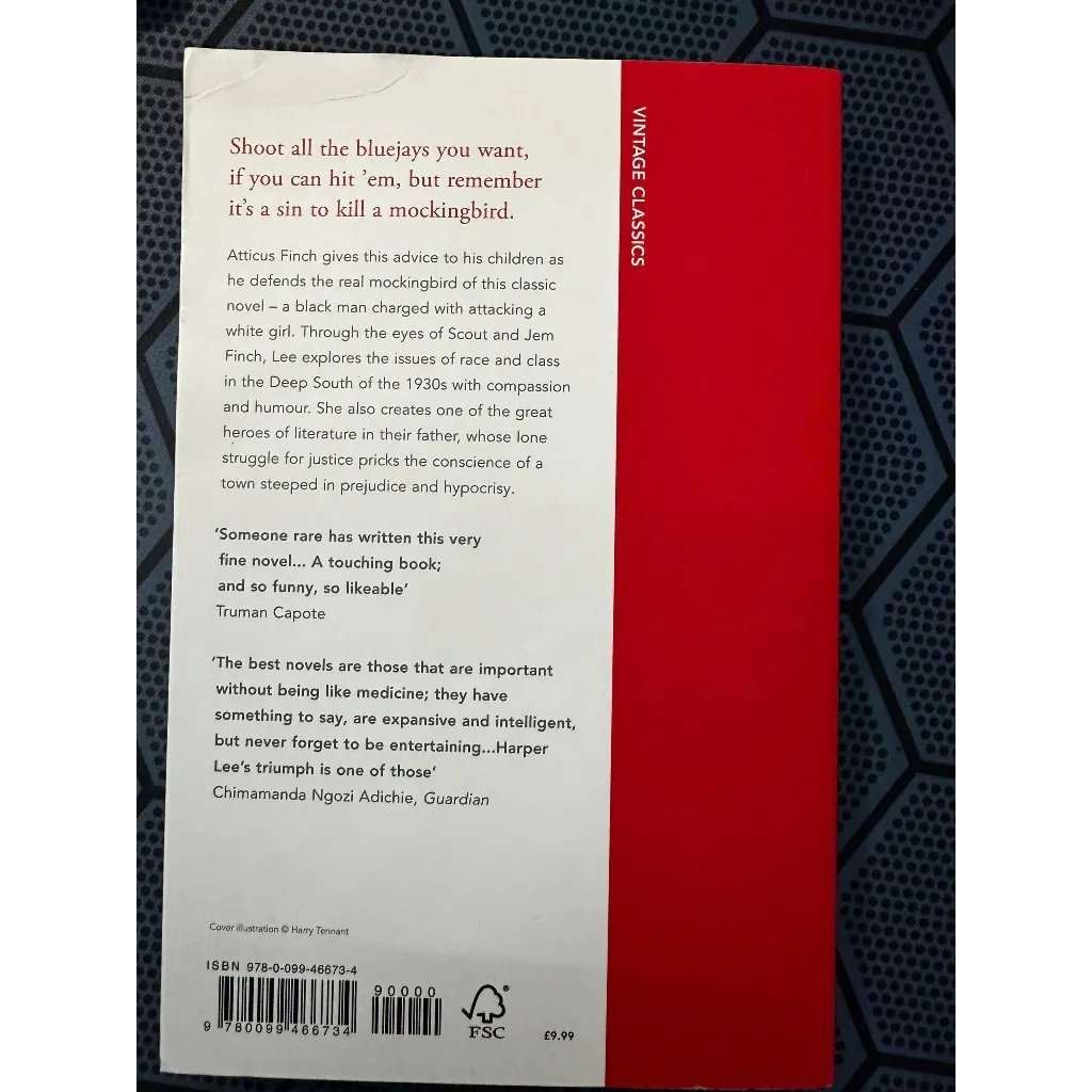 Ảnh Sách Tiếng Anh: To Kill A Mockingbird( Paperback) 2