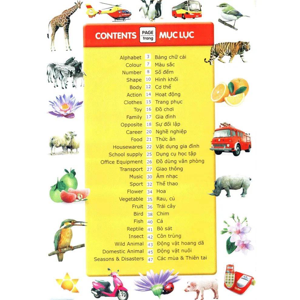Ảnh Sách: Từ Điển Anh - Việt Bằng Hình 2
