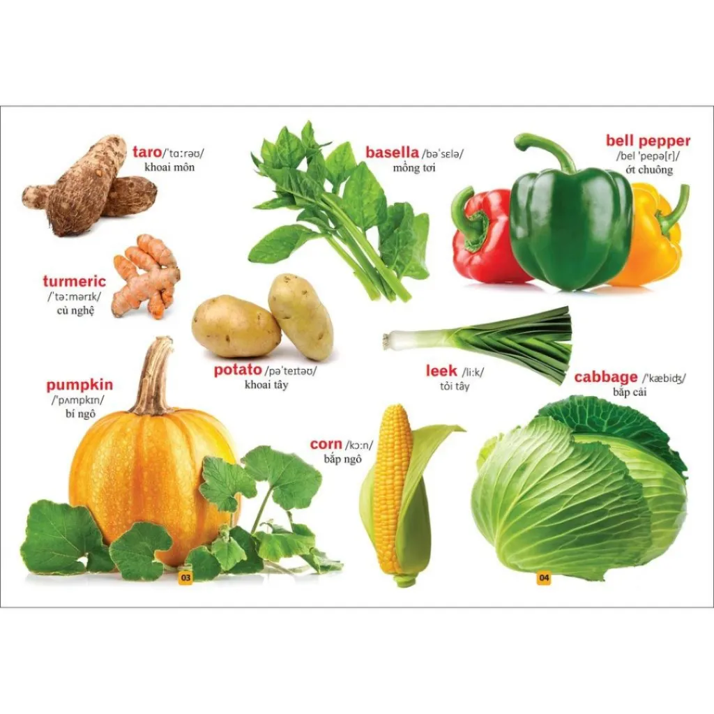Ảnh Sách - Từ Điển Bằng Tranh ( Rau Củ Quả ) 3