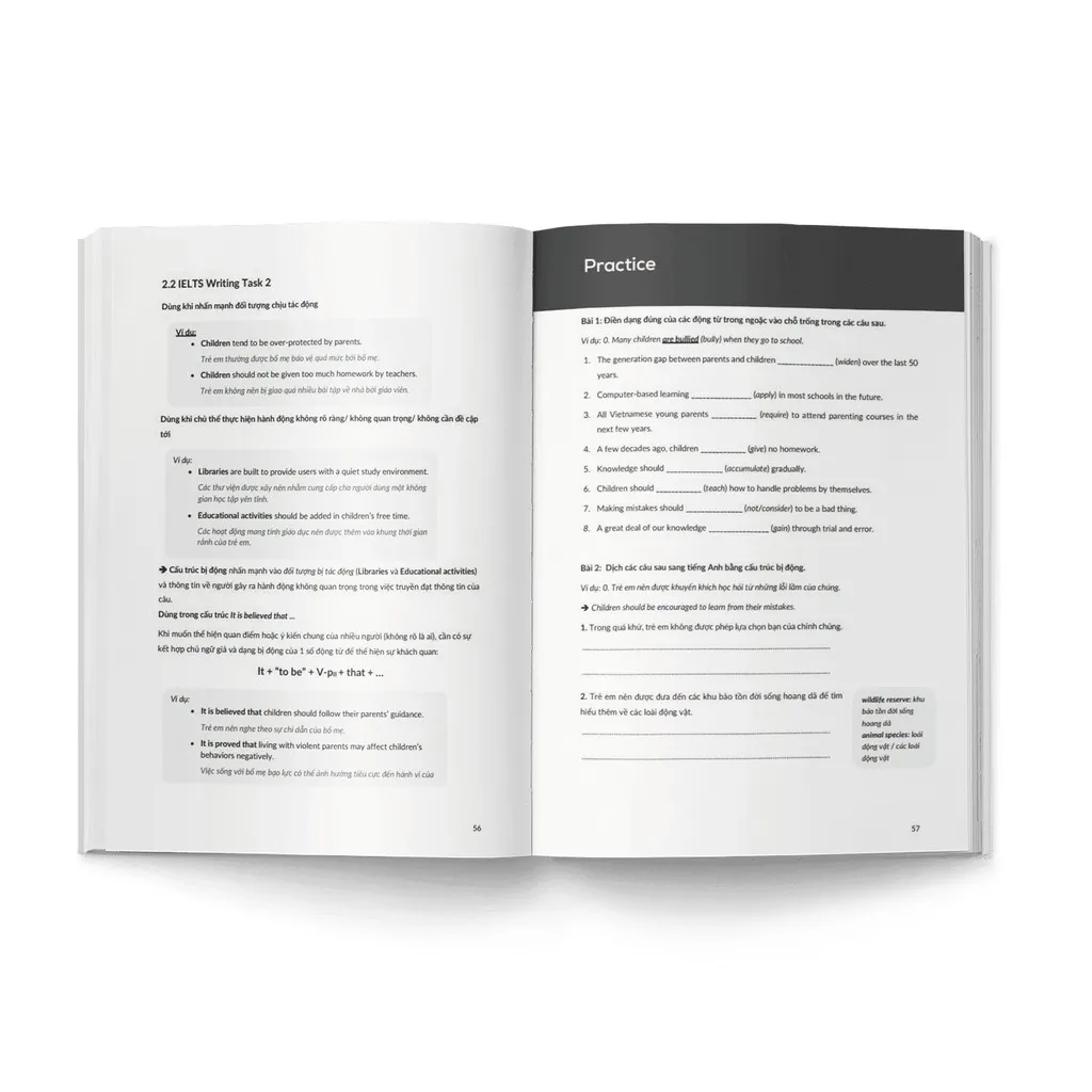 Ảnh Sách - Understanding Grammar for IELTS: Paragraph and Essay 3
