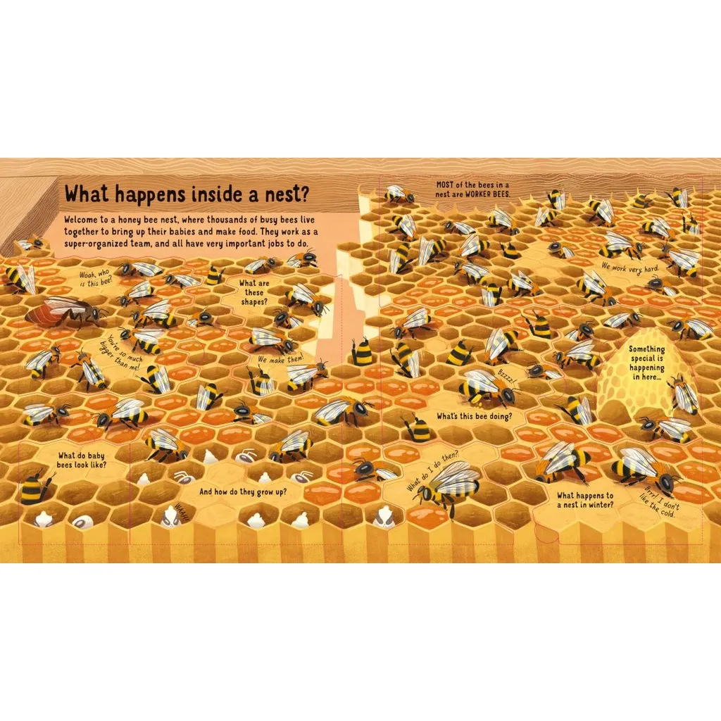 Ảnh Sách Usborne - Look Inside the World of Bees - lật mở tương tác tìm hiểu về loài ong 3