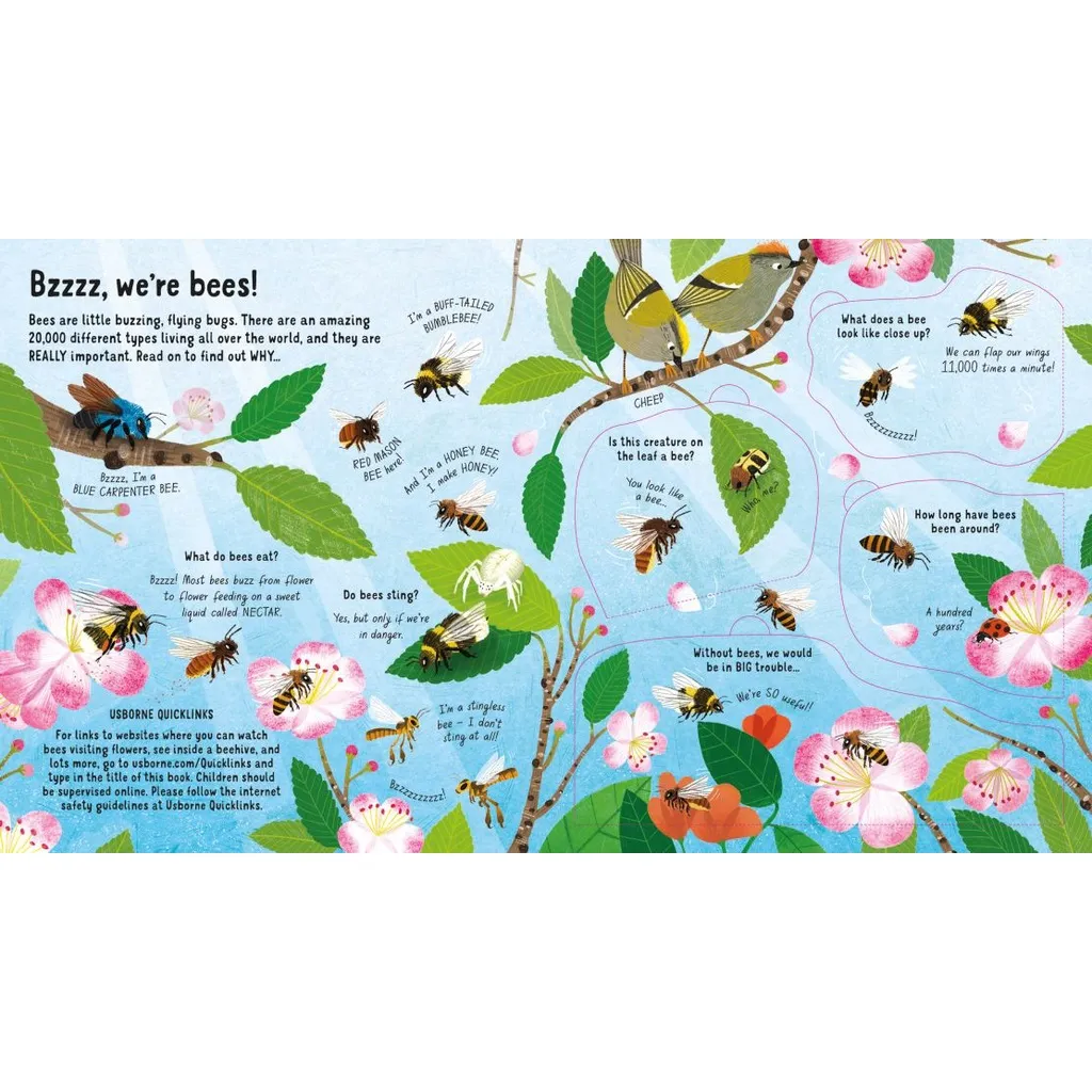 Ảnh Sách Usborne - Look Inside the World of Bees - lật mở tương tác tìm hiểu về loài ong 4