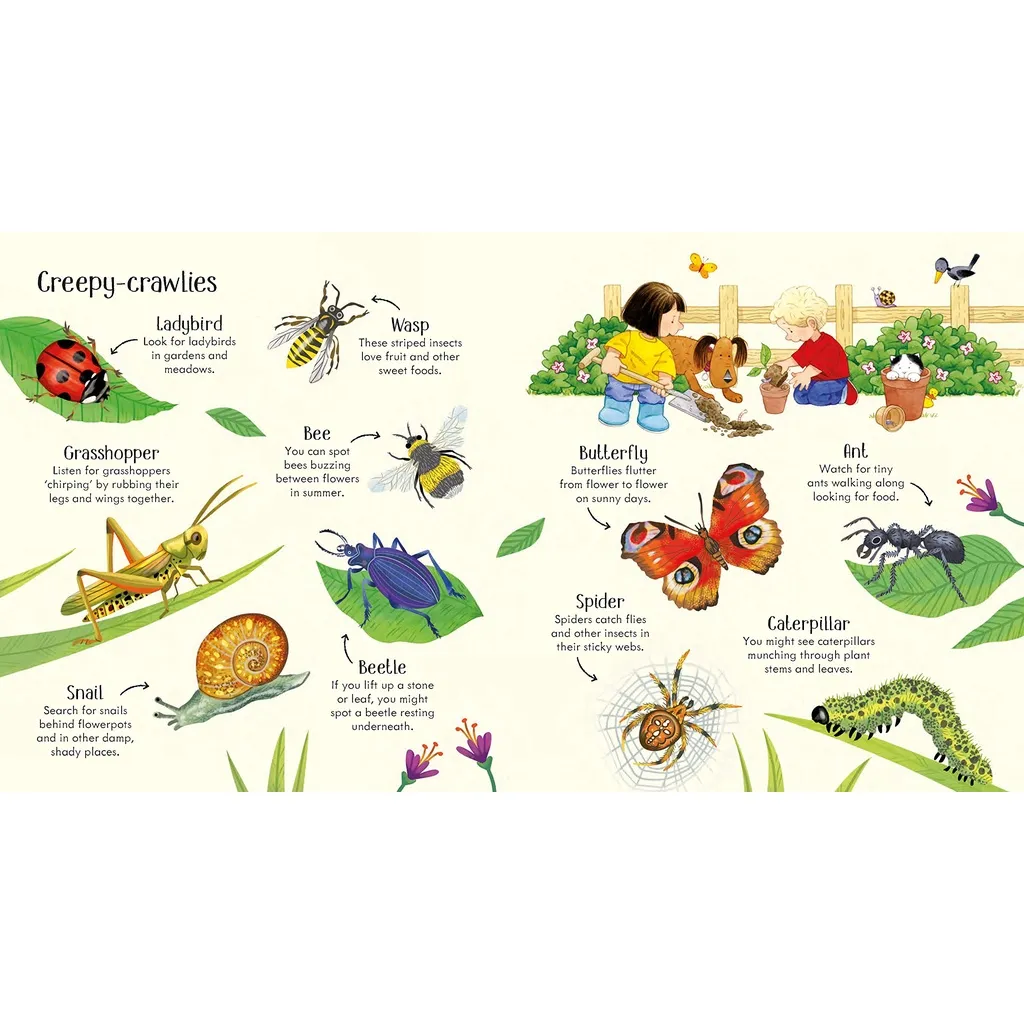 Ảnh Sách Usborne - Poppy and Sam's Nature Spotting Book - học tiếng anh qua thiên nhiên 4