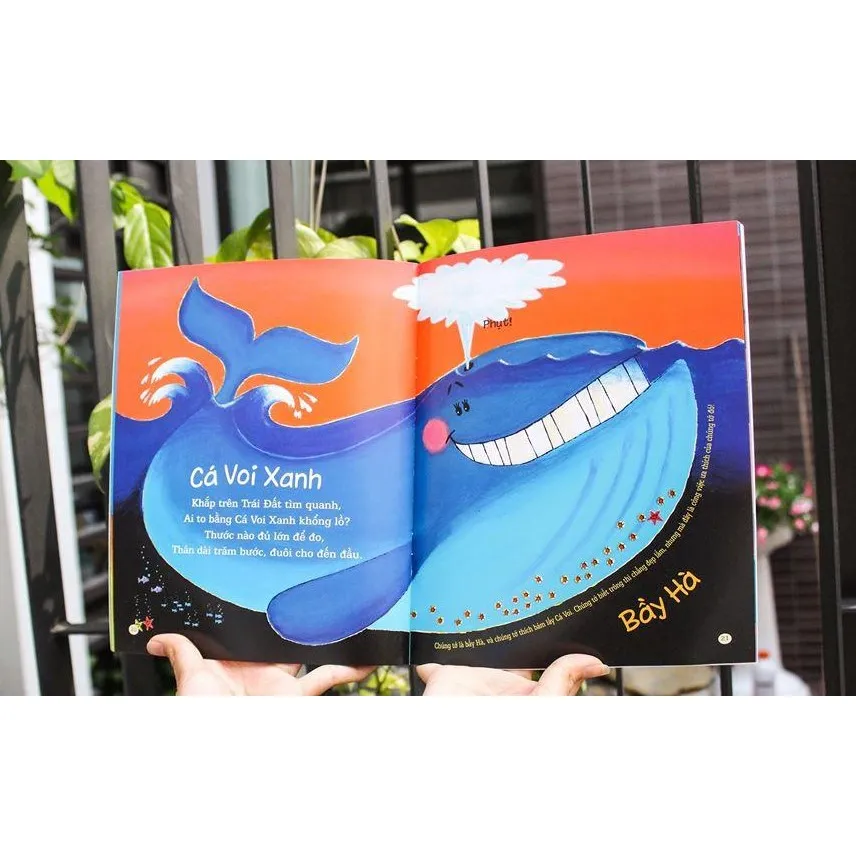 Ảnh Sách – Vũ Điệu Của Muôn Loài - Chốn rừng xanh nhộn nhịp - Nơi đại dương náo nhiệt - Chú hươu không biết nhảy 1