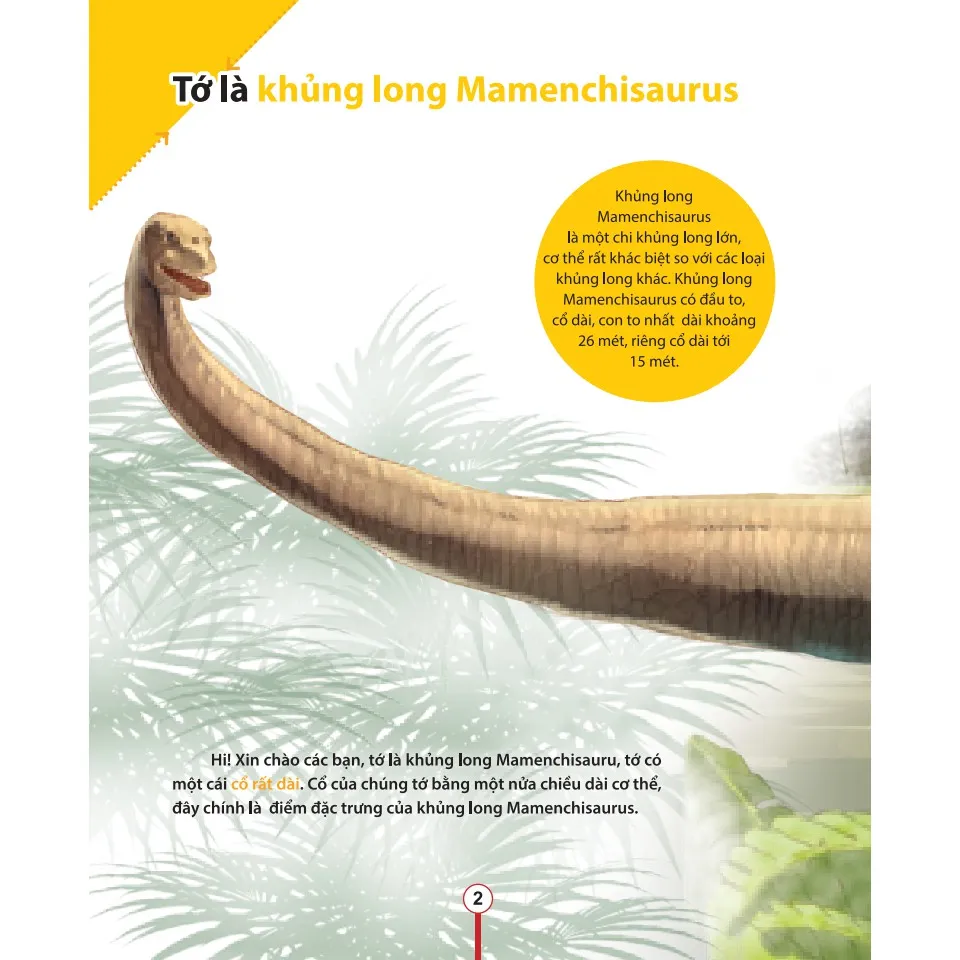 Ảnh Sách-Kiến thức về khủng long-Cổ khủng long Mamenchisaurus dài bao nhiêu?Cơ thể khủng long chứa đầy bí mật 3