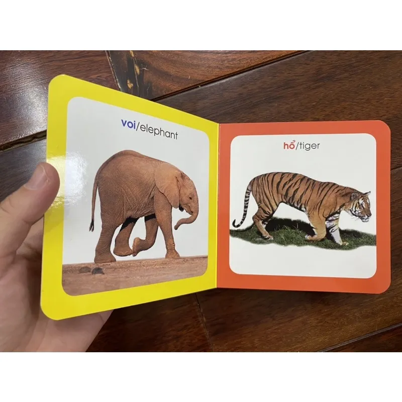 Ảnh Sách-Từ điển hình ảnh cho bé ( chủ đề tự chọn) 2