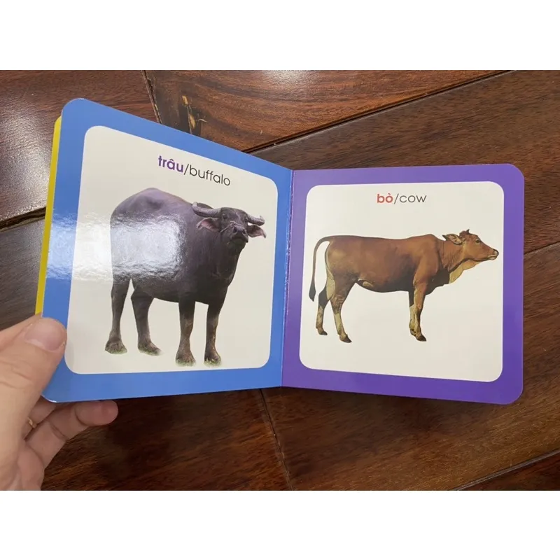 Ảnh Sách-Từ điển hình ảnh cho bé ( chủ đề tự chọn) 3