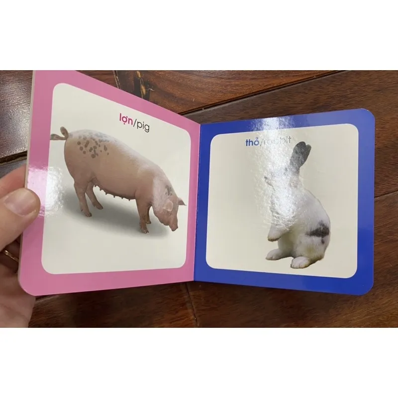 Ảnh Sách-Từ điển hình ảnh cho bé ( chủ đề tự chọn) 4