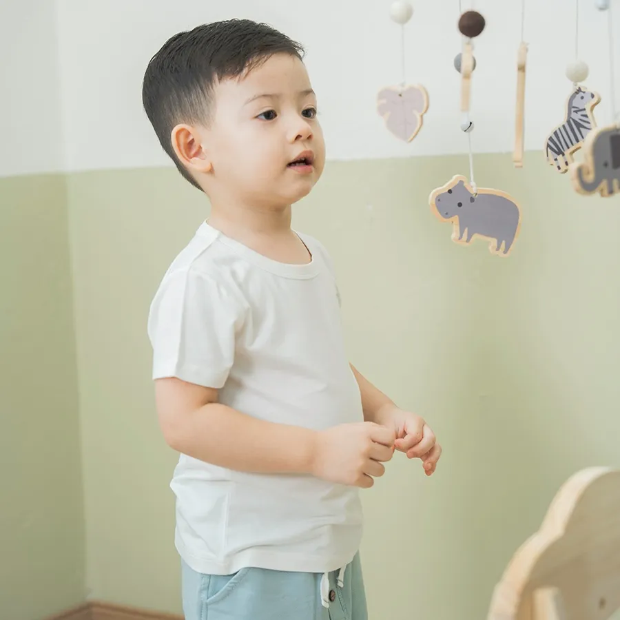 Ảnh Set 2 áo ngắn tay cổ tròn Siro BSR330403 | Quần áo chính hãng BU Baby 2