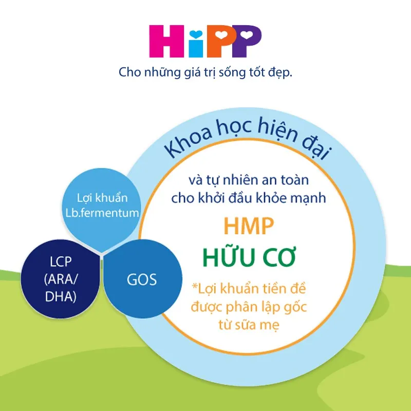 Ảnh Sữa bột công thức HiPP 4 Organic Combiotic 800g (dành cho trẻ từ 3 tuổi) 3