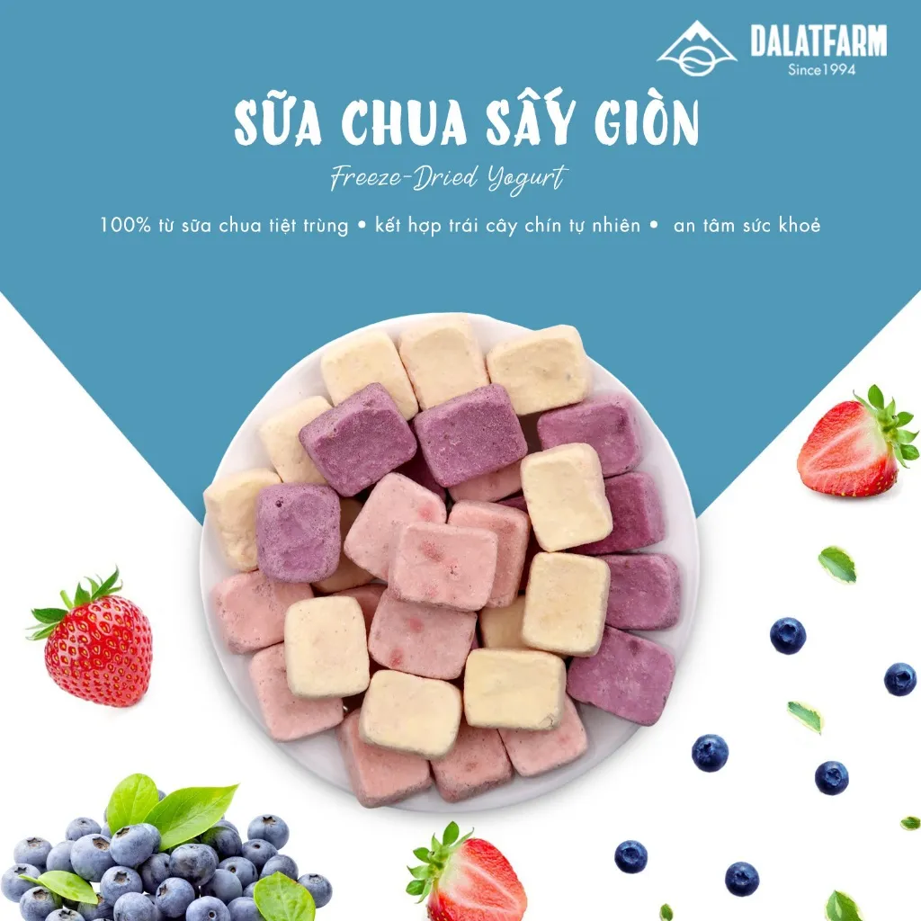 Ảnh Sữa Chua Sấy Giòn DalatFarm - Hộp 100g 1