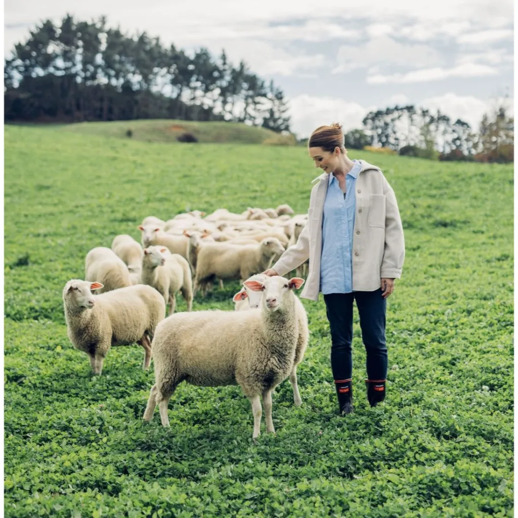 Ảnh SỮA CỪU NGUYÊN CHẤT SPRING SHEEP NEW ZEALAND 350GR 4