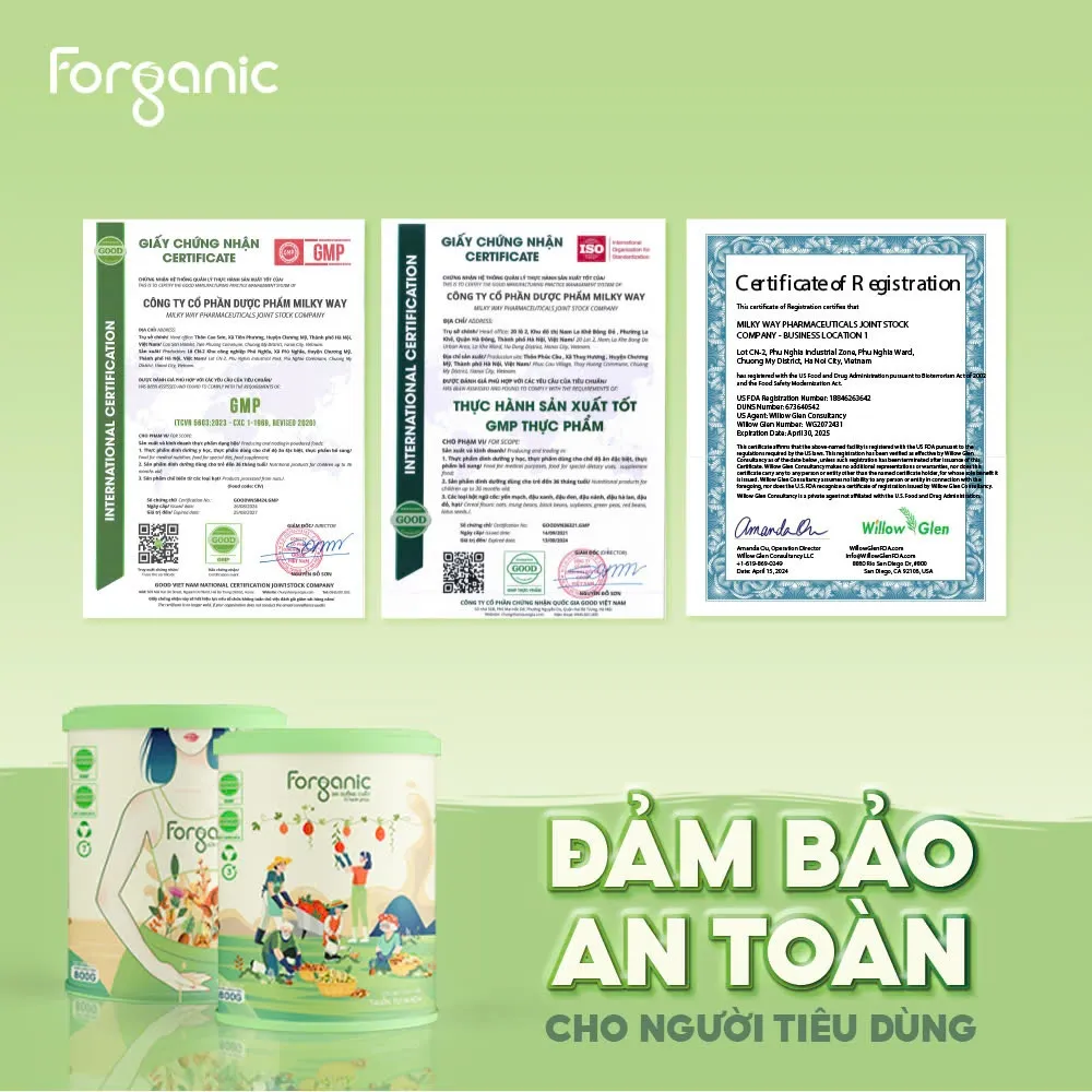 Đánh Giá Sữa Hạt Forganic Bữa Ăn Thay Thế 600G: Dinh Dưỡng Toàn Diện, Thanh Lọc Cơ Thể
