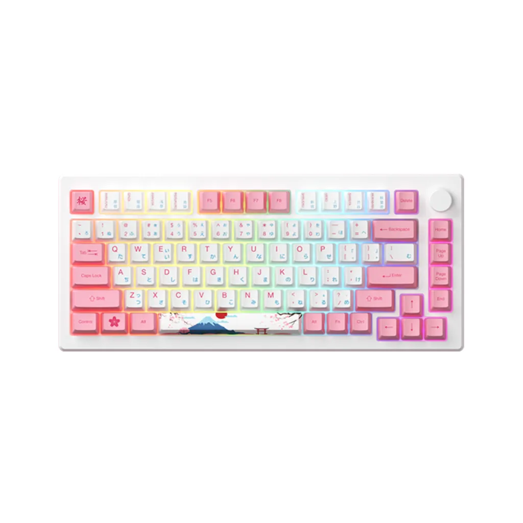Ảnh Tặng quạt tản nhiệt 529k - Bàn phím AKKO MOD007B-HE PC Tokyo Sakura Pink Magnetic Switch 1