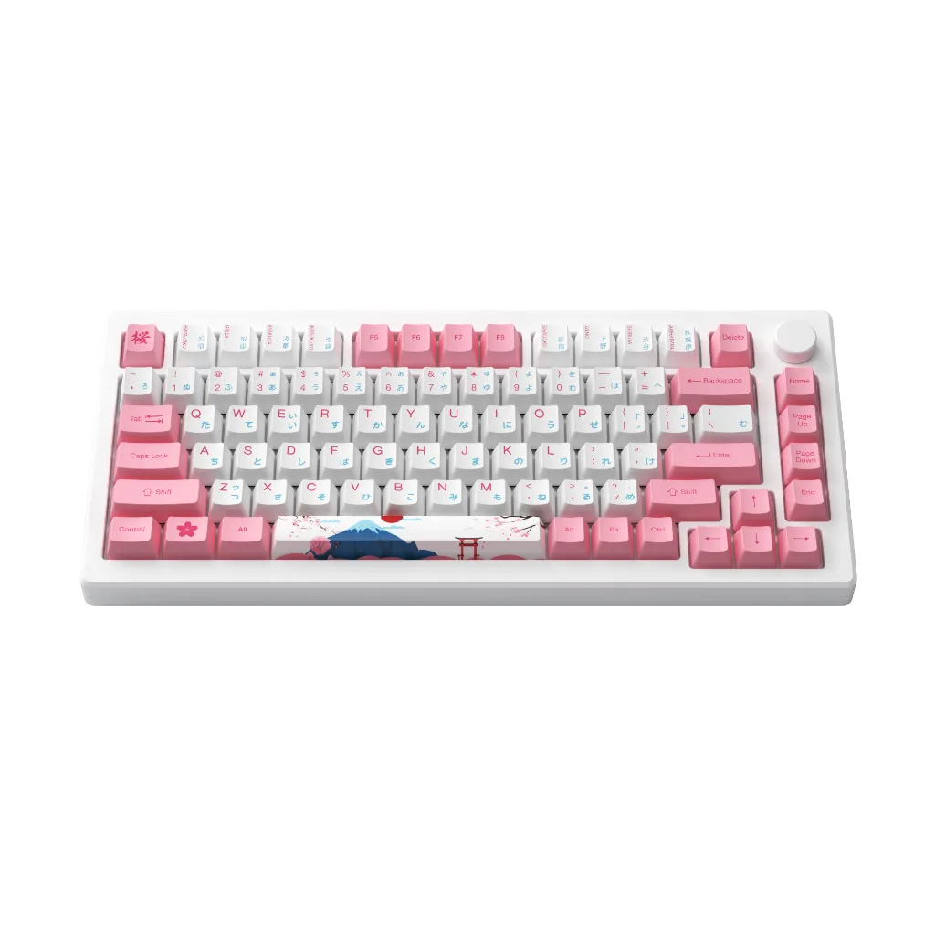 Ảnh Tặng quạt tản nhiệt 529k - Bàn phím AKKO MOD007B-HE PC Tokyo Sakura Pink Magnetic Switch 2