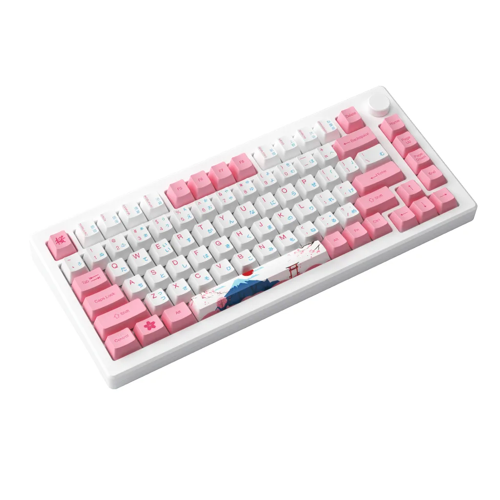 Ảnh Tặng quạt tản nhiệt 529k - Bàn phím AKKO MOD007B-HE PC Tokyo Sakura Pink Magnetic Switch 4