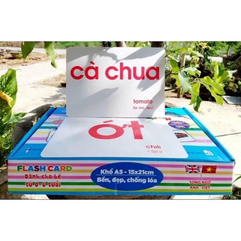 Ảnh Thẻ học thông minh 16 chủ đề, Thẻ Flashcard Glenn Doman Khổ A5, Chống Thấm Nước, Thẻ Học A5 3