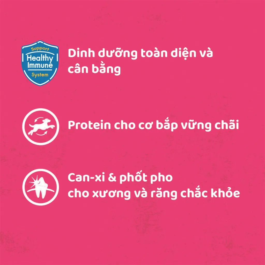 Ảnh Thức Ăn Cho Chó Con Dạng Sốt PEDIGREE NutriDefence - Vị Bò, Trứng và Rau (80g, 12 Gói) 3