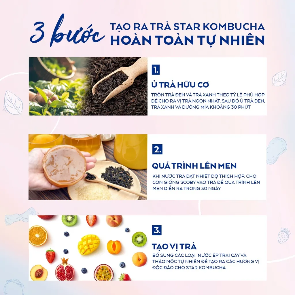 Ảnh Thùng 12 lon trà lên men Star Kombucha mix 12 vị (250ml/lon) 2