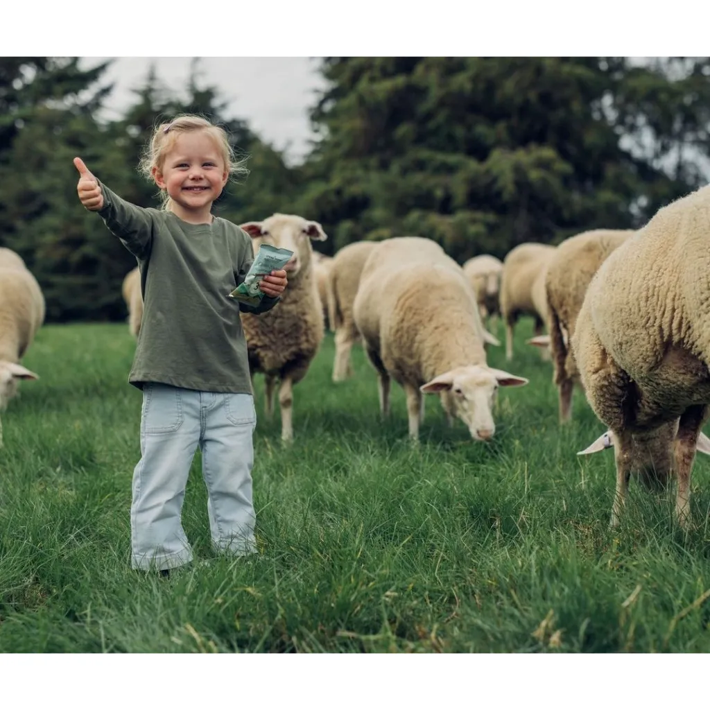 Ảnh Thùng 12 Túi Sữa Cừu Nguyên Chất Spring Sheep New Zealand 350gr 3