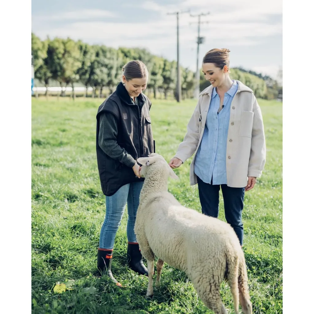 Ảnh Thùng 8 Túi Sữa Cừu Nguyên Chất Spring Sheep New Zealand 850gr 1