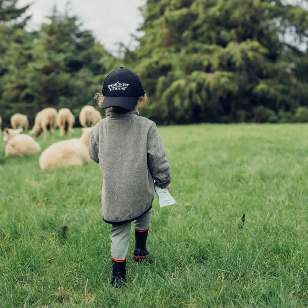 Ảnh Thùng 8 Túi Sữa Cừu Nguyên Chất Spring Sheep New Zealand 850gr 4