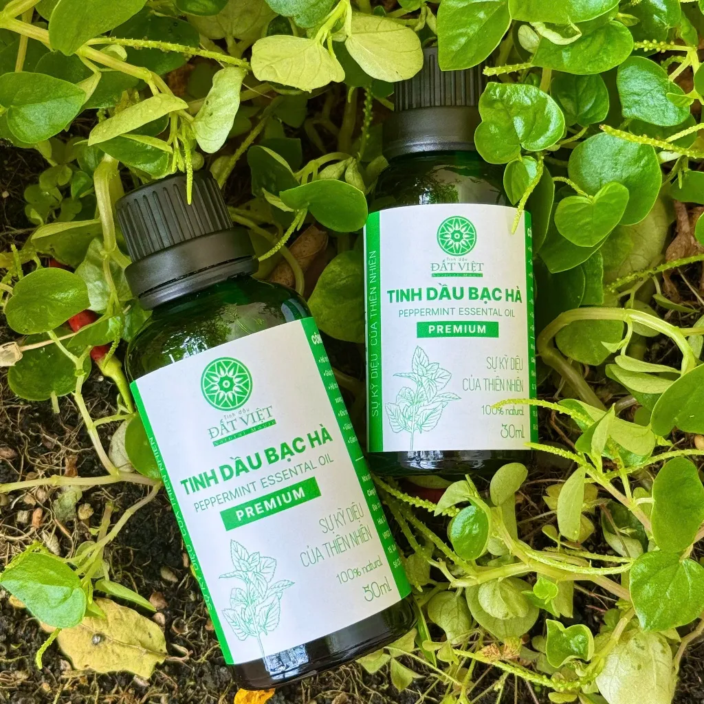 Ảnh Tinh dầu bạc hà nguyên chất Đất Việt dung tích 10ml, 30ml & 50ml, dùng xông phòng 3