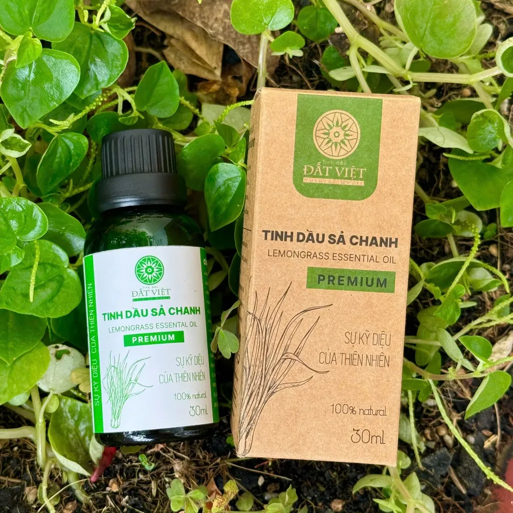 Ảnh Tinh dầu sả chanh thơm phòng Đất Việt dung tích 30ml & 50ml - Xông hương, đuổi muỗi 3