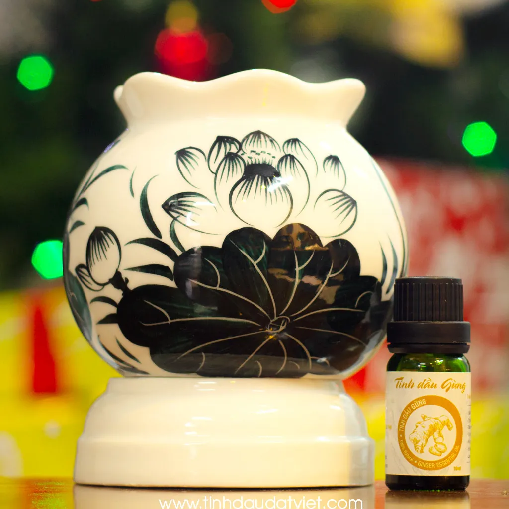 Ảnh Tinh Dầu Thiên Nhiên Nguyên Chất Đất Việt 10ml, Tinh dầu Sả Chanh, Bạc Hà, Bưởi, Tràm, Quế 2